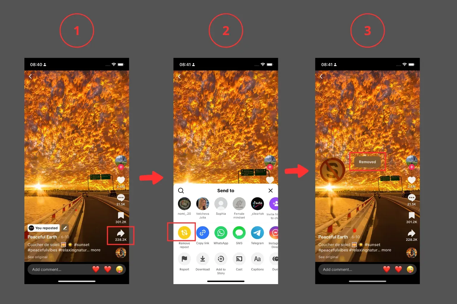 Delete a Repost 2025