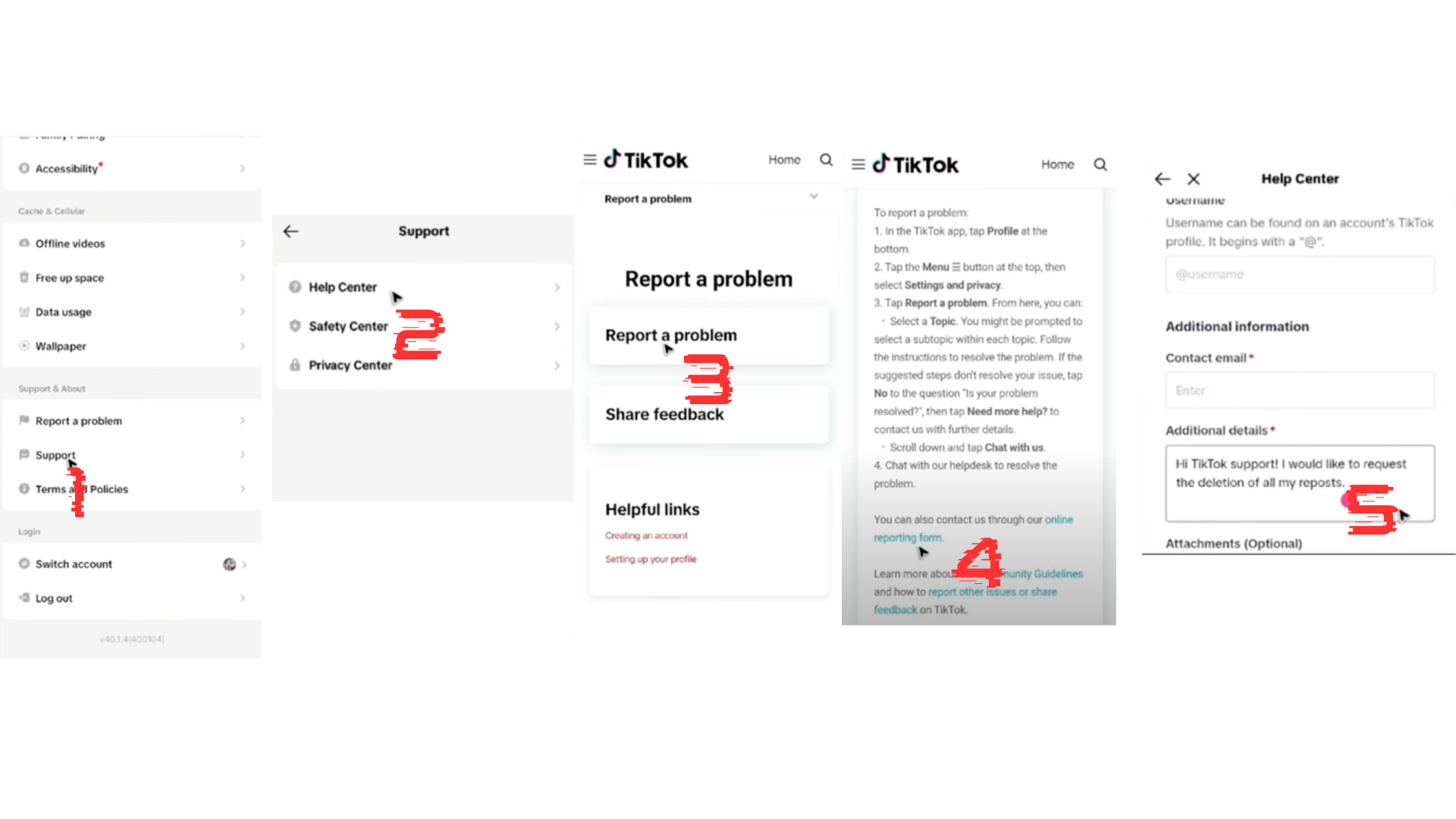 TikTok Official Deletion Process