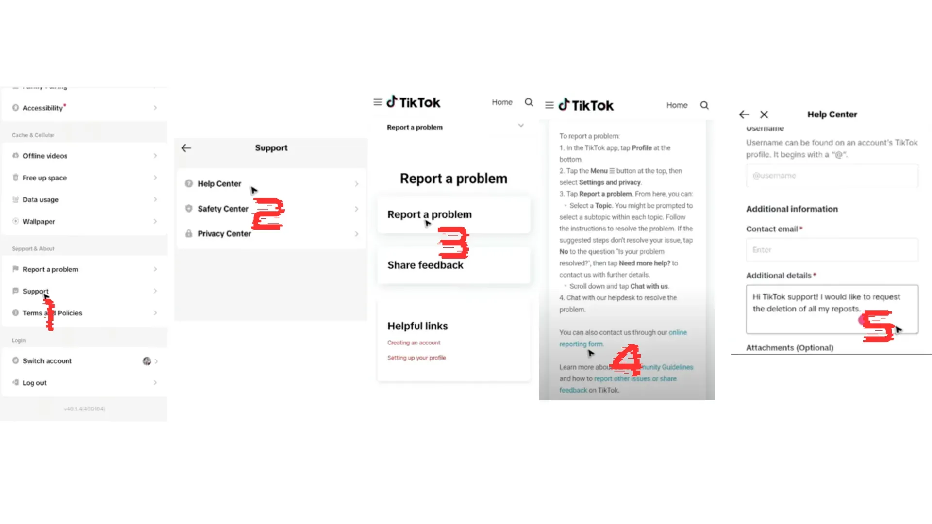 TikTok Official Deletion Process